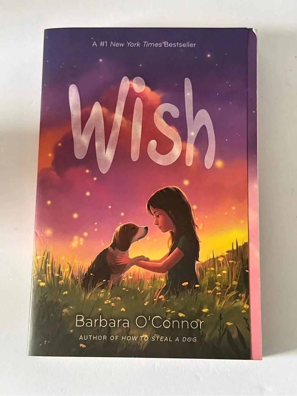 Square Fish Wish by Barbara O'Connor Paperback Book